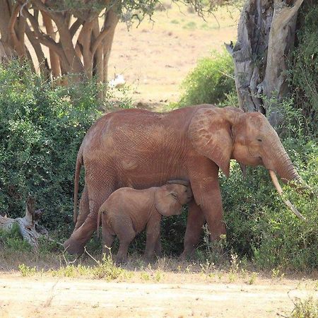 Nyumba Ya Afrika Acomodação com café da manhã Watamu Exterior foto