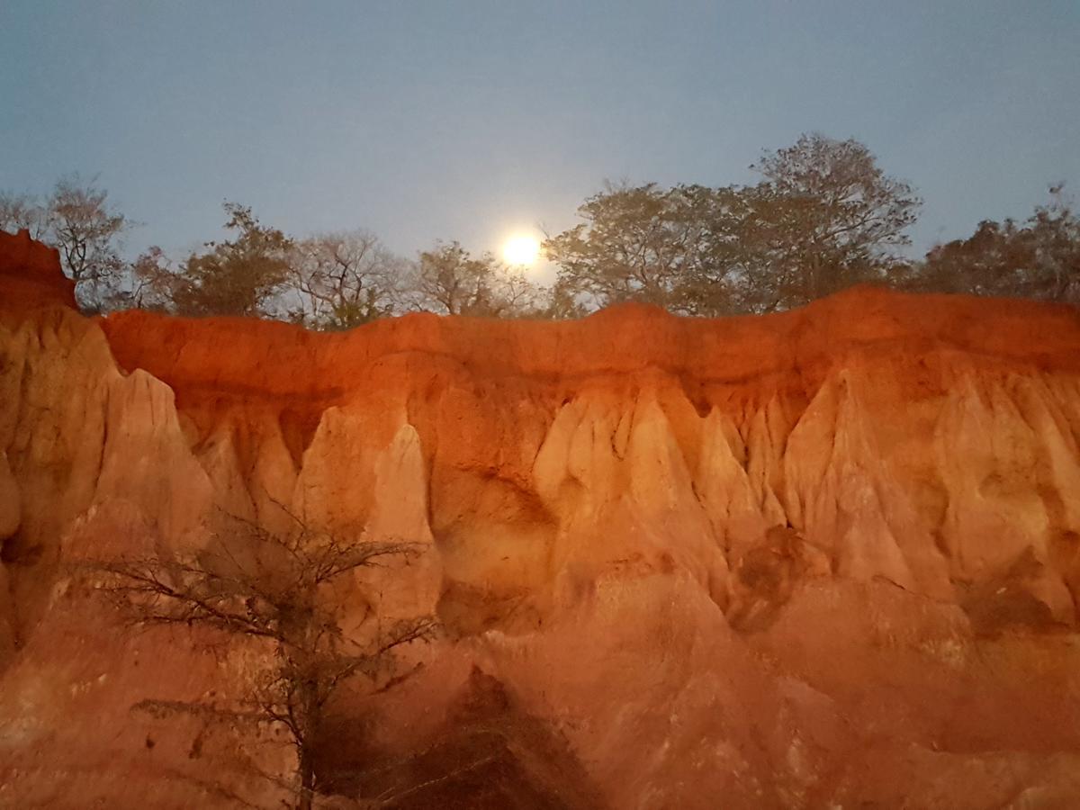 Nyumba Ya Afrika Acomodação com café da manhã Watamu Exterior foto